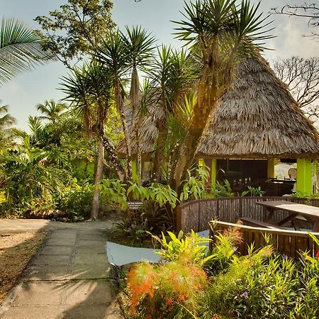 Windy Hill Resort San Ignacio Zewnętrze zdjęcie