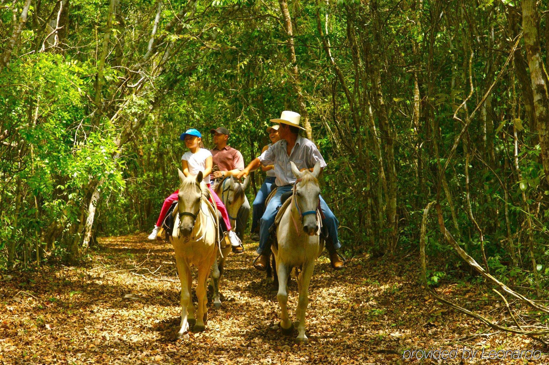 Windy Hill Resort San Ignacio Zewnętrze zdjęcie